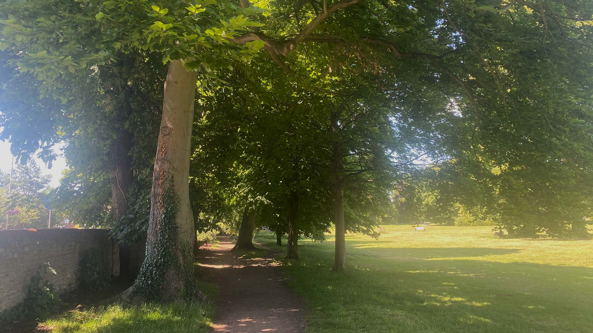 Green leaves on trees, grass and a path at the Bury Knowle park, located near the care home
