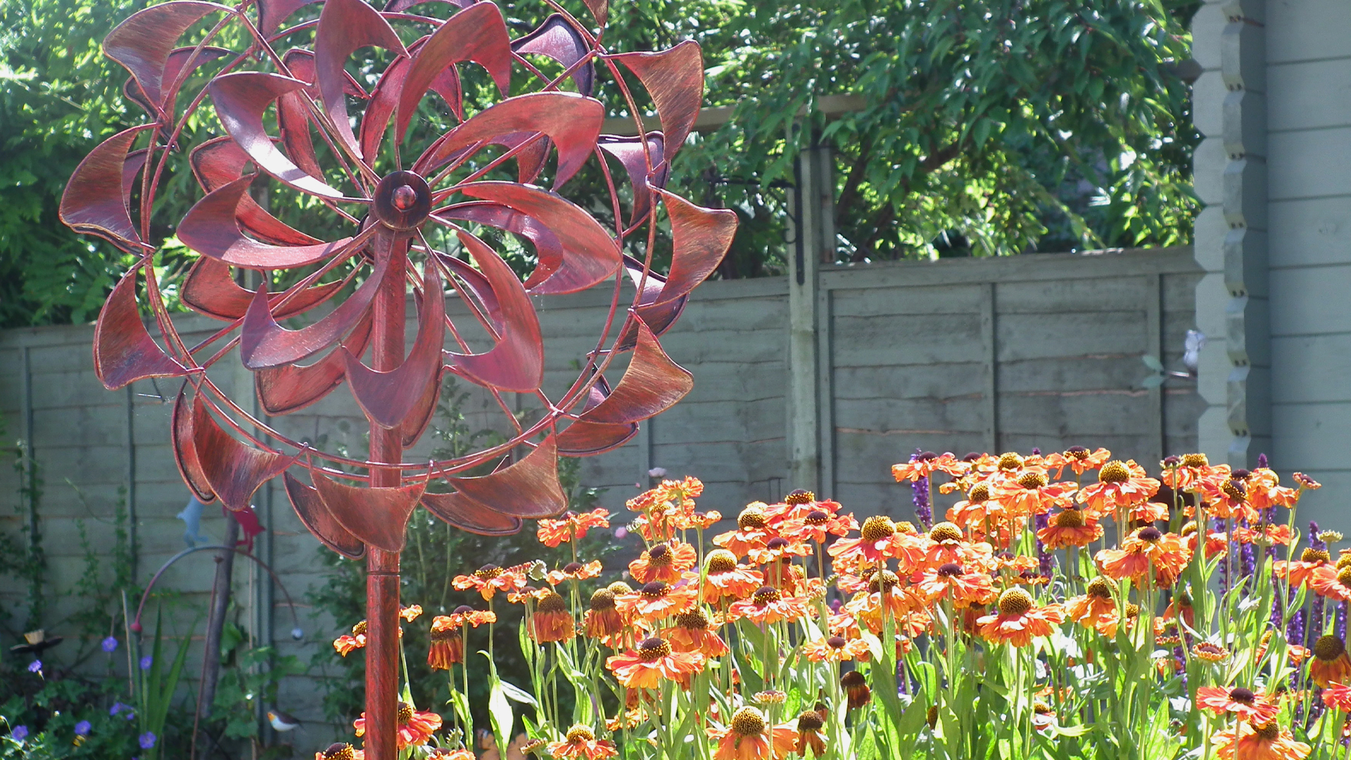 Sun shines down on bright orange flowers next to a large red metal pinwheel decoration in the care home garden